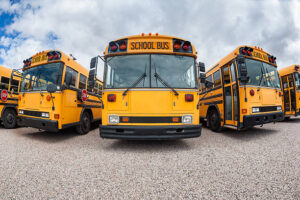 School Transport Services 